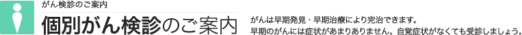 がん検診 個別がん検診のご案内