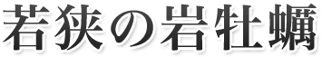 若狭の岩牡蠣