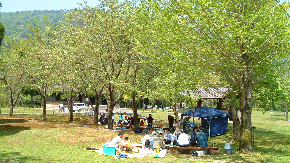 宝慶寺いこいの森