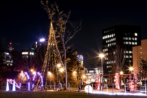 福井市中央公園 イルミネーション