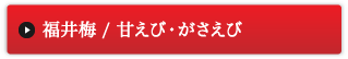 福井梅／甘えび・がさえび