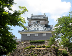 越前大野城