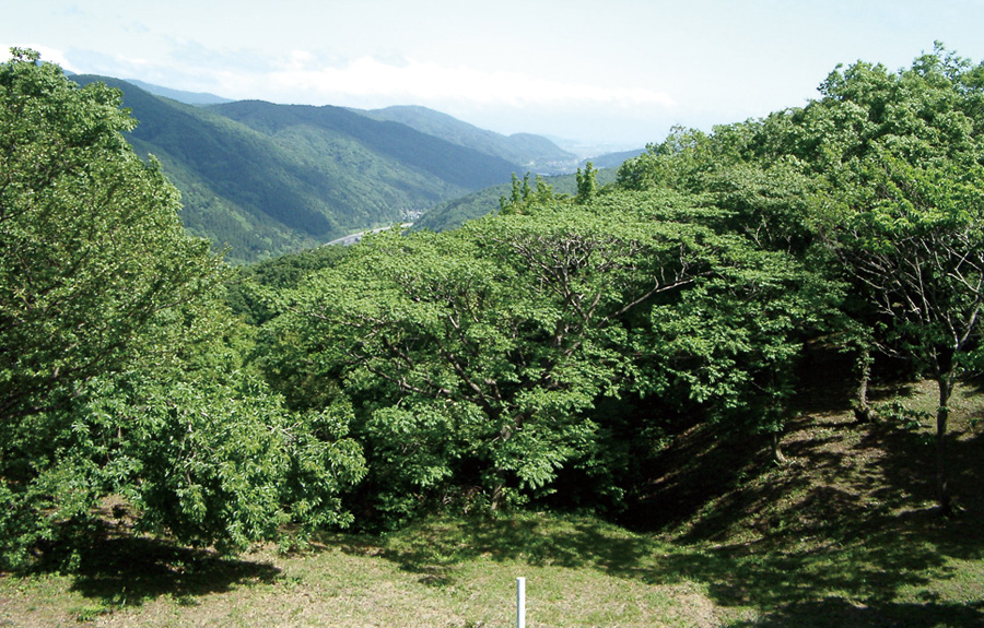 玄蕃尾城