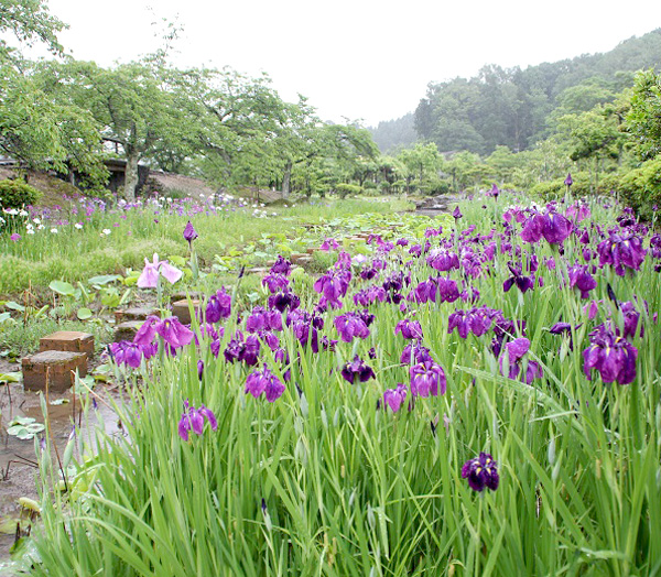 万葉の里 味真野苑