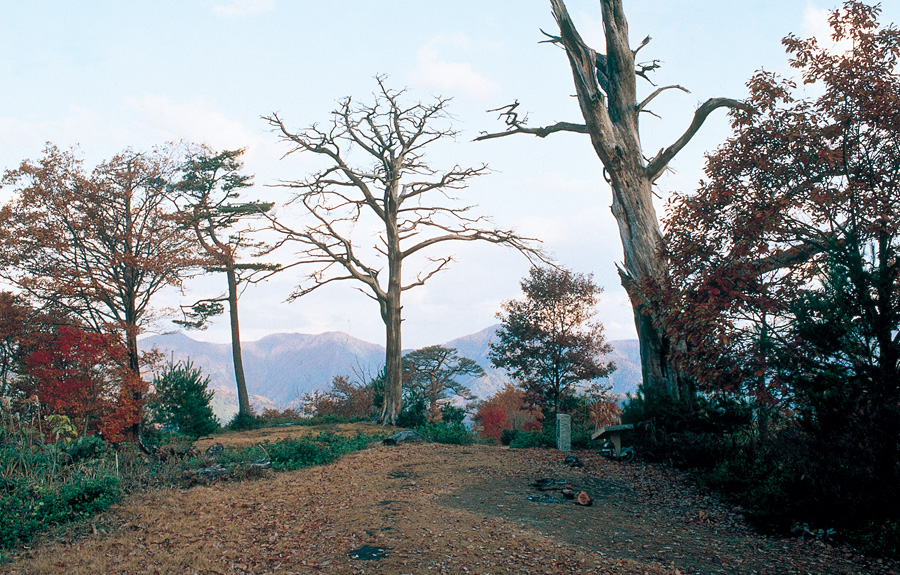 杣山城