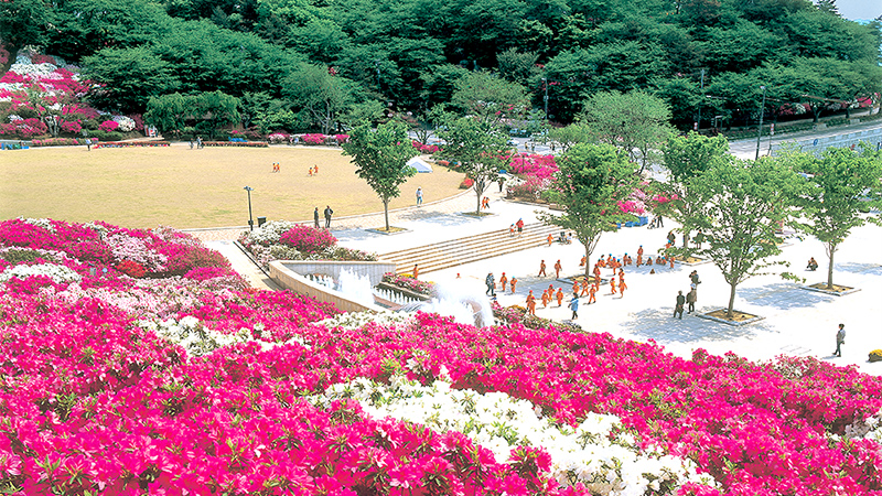 長泉寺山