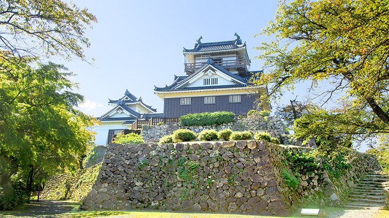 越前大野城