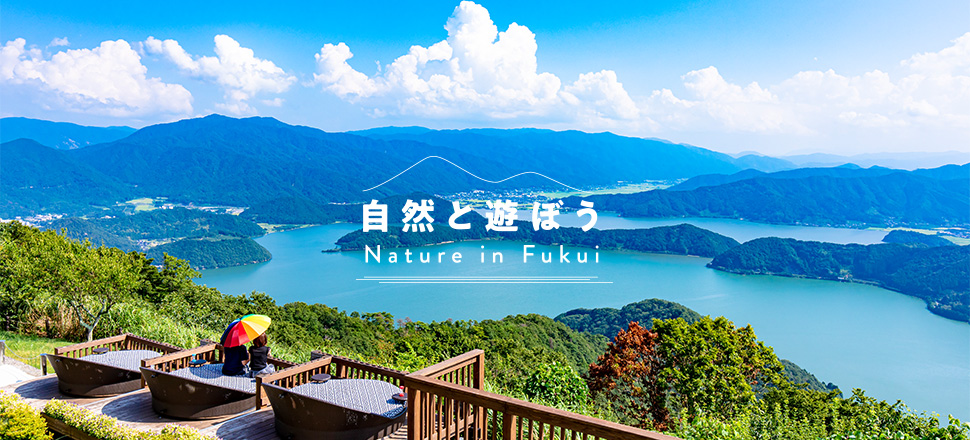 自然と遊ぼう Nature in Fukui